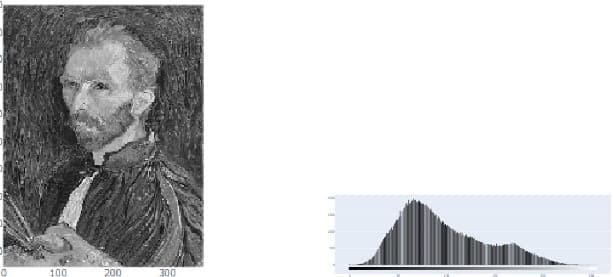 Binary Leaves Classification